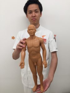 にょほうもけい